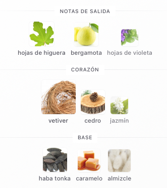SET ADOLFO DOMINGUEZ VETIVER TERRA EDP + DESODORANTE