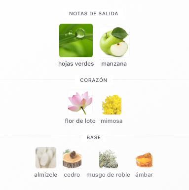 NAUTICA VOYAGE EDT 100 ML