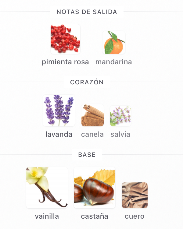 ARMANI STRONGER WITH YOU PARFUM 100 ML