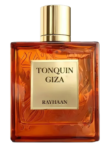 RAYHAAN TONQUIN GIZA EDP 100 ML
