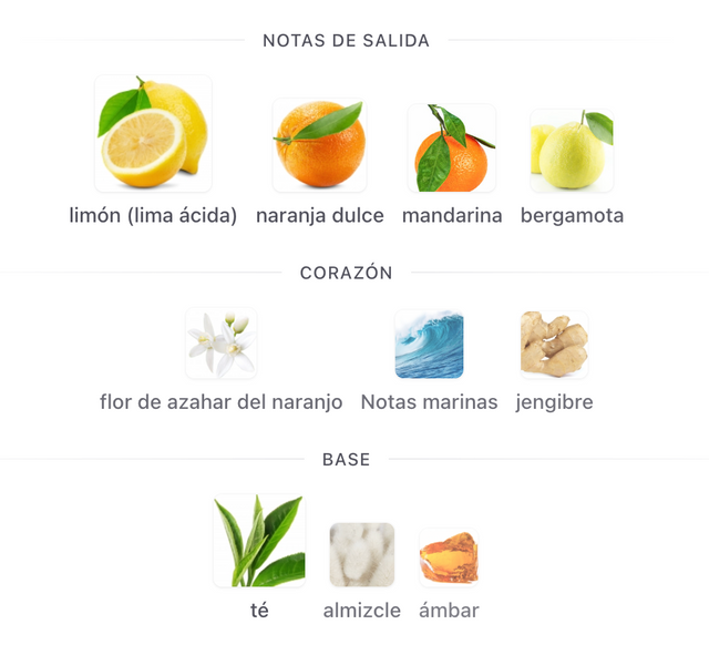 ARMAF ODYSSEY LIMONI FRESH EDP 100 ML
