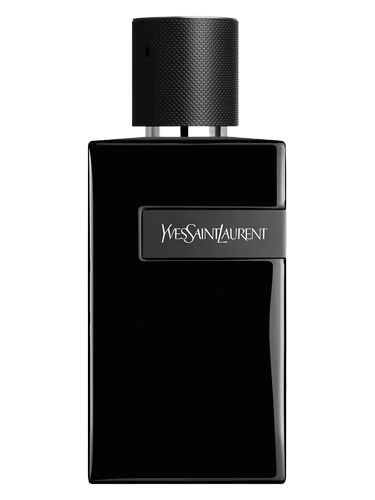 YVES SAINT LAURENT Y LE PARFUM 100 ML