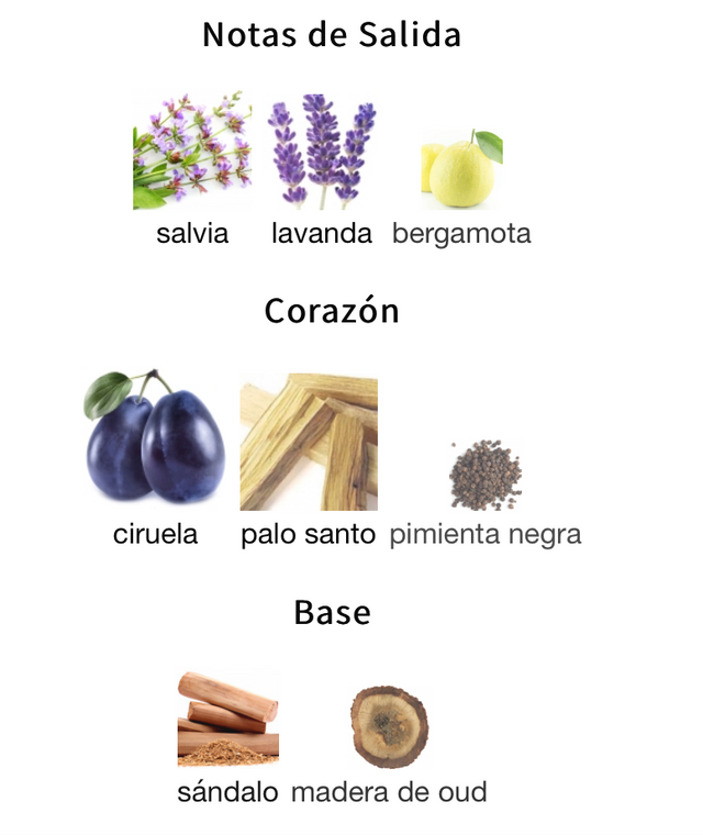 Initio Paragon